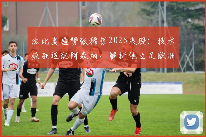 法比奥盛赞张稀哲2026表现：技术疯狂适配阿森纳，解析他立足欧洲的可能性与现状