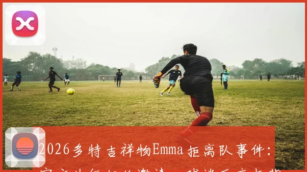 2026多特吉祥物Emma拒离队事件:官方为何拒绝邀请,球迷反应与背后故事全解析